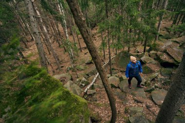 Köknar ormanındaki kayadan yukarı bakan bir erkek.