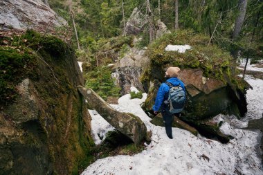 Genç maceracı ormandaki güzel manzaranın tadını çıkarıyor.