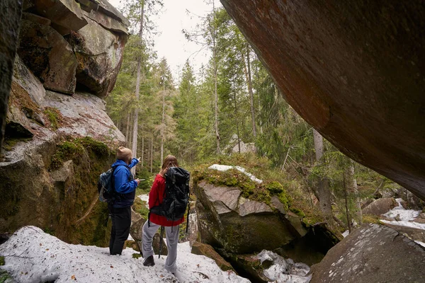활달 한 두 명의 등산객 이 숲을 구경하고 있다 — 스톡 사진