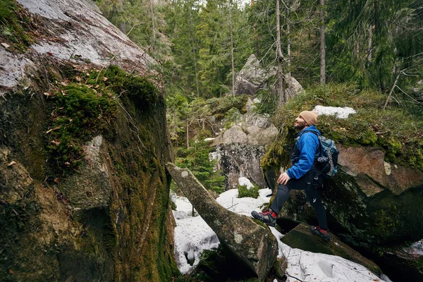 Yürüyüş sırasında orman manzarasının keyfini çıkaran keyifli bir erkek.
