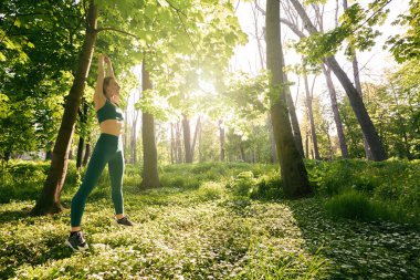 Gevşemiş ince dişi, güneşli bir günde ormanda antrenmandan önce ısınırken kollarını uzatıyor.