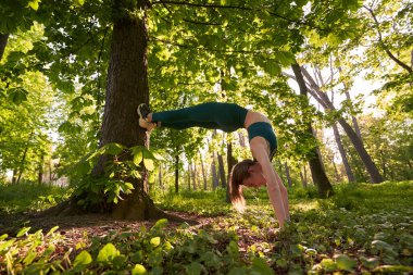 Düşük açılı, ince, neşeli kadın yeşil ahşap çimlerde amuda kalkıyor ve denge için ağaçlara yaslanıyor.