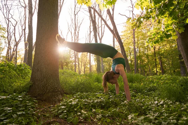 Atletische Vrouw Doet Handstand Gras Wile Leunen Haar Voeten Tegen — Stockfoto