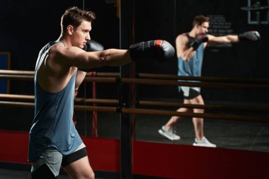 Boks eldivenli ciddi odaklı boksör sağ eliyle düz yumruk atıyor.