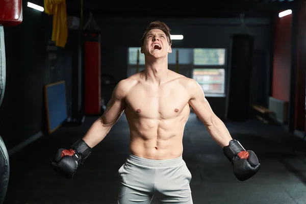 Front View Shirtless Aggressive Muscular Man Boxing Gloves Shouting Training — Stock Photo, Image