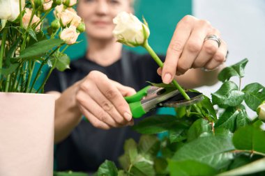 Woman florist cuts a rose bud with garden scissors. Nearby stands a round box with a bouquet. Cropped photo