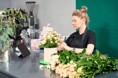 Florist in a flower boutique arranges an arrangement of roses in a round box. There are flowers on the counter