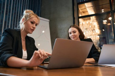 Dizüstü bilgisayardaki bir şeyi bayan meslektaşına göstererek masa başında oturan konsantre şirket çalışanı.