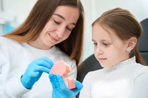 Усміхнений Педодонт Демонструє Структуру Зубів Стоматологічній Моделі Зосередженої Дитини — стокове фото
