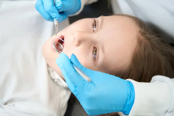 Pediatric dentist performing primary examination of little girl oral cavity using dental probe and mouth mirror