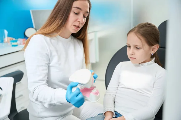 Fokuserad Pedodontist Rengöring Tänder Dentalmodell Framför Pre Teen Barn — Stockfoto