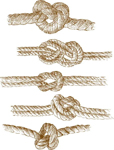 Rope knots — Stock Vector