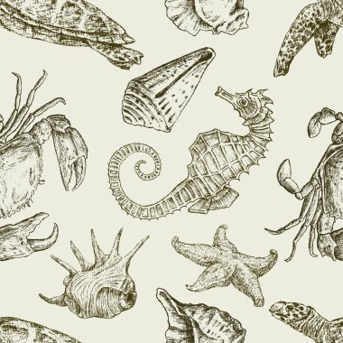 Sea creatures pattern