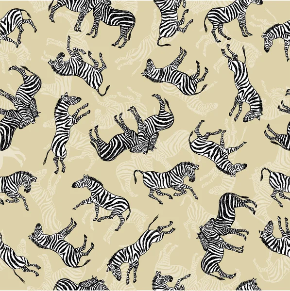 Background of zebras — Stock Vector