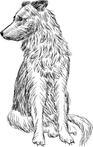 Sketch dog — Stock Vector