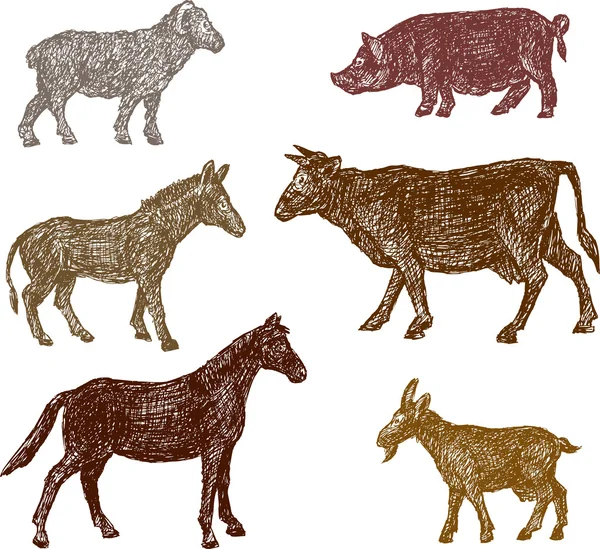 Animaux de ferme — Image vectorielle