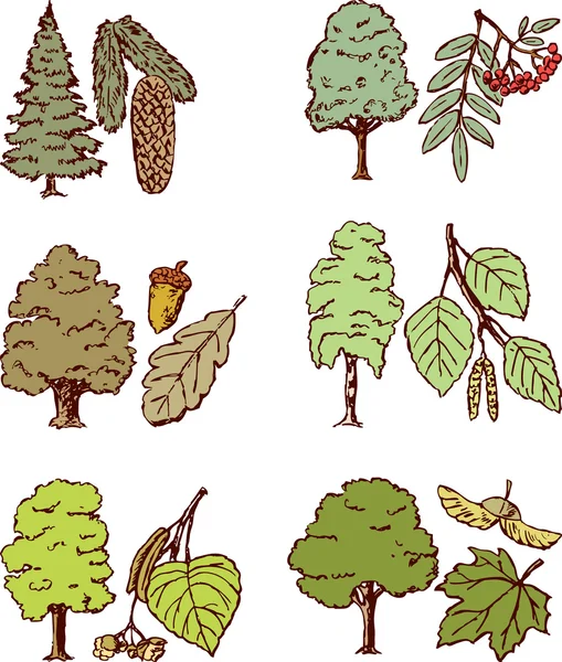 Bomen ingesteld — Stockvector