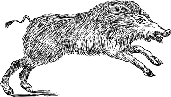 Wildschweine — Stockvektor