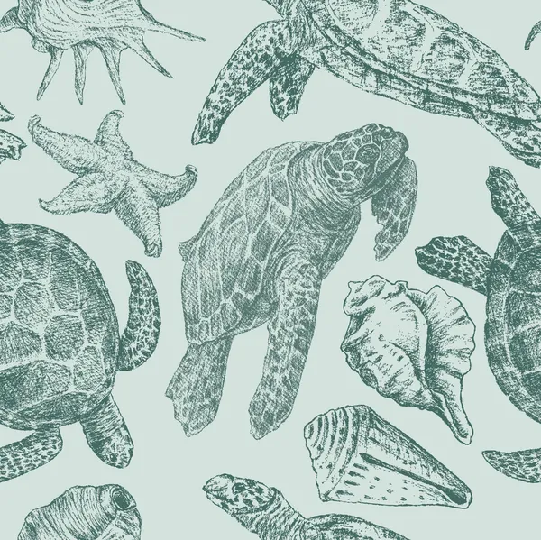 Fundo com tartarugas marinhas — Vetor de Stock