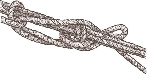 Maritimer Knoten — Stockvektor
