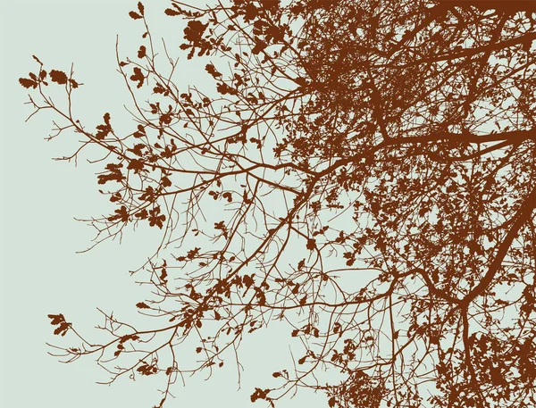 Natur Hintergrund Der Silhouetten Eichenzweige Mit Herbstlaub — Stockvektor