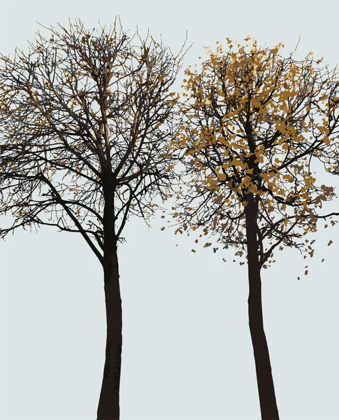 Image Vectorielle Des Silhouettes Deux Feuillus Avec Des Feuilles Tombantes — Image vectorielle