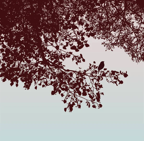 秋の公園のシルエット枝落葉樹のベクトル画像 — ストックベクタ