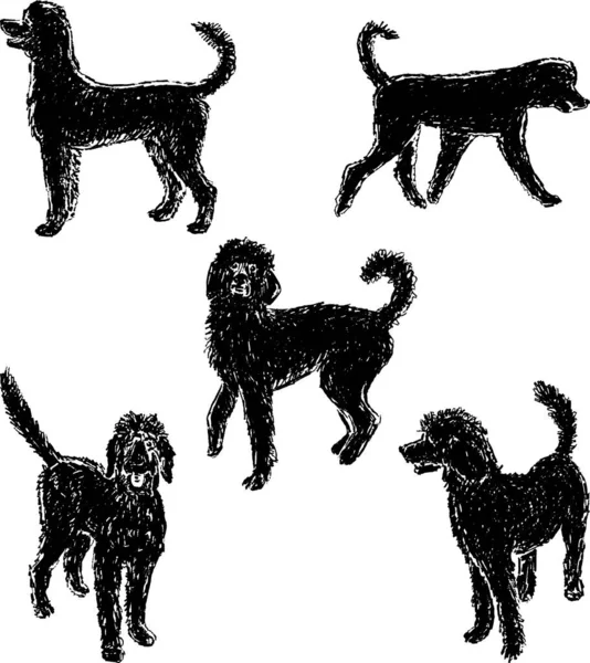 Vector Textured Drawings Silhouettes Funny Black Dog Various Poses — Stock Vector