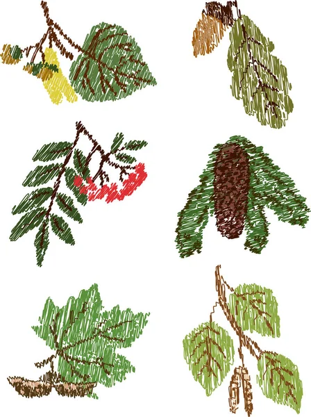 Dessins Vectoriels Gribouillis Feuilles Graines Fruits Différents Arbres — Image vectorielle