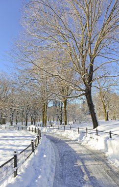 kar, manhattan new york Central Park'ta