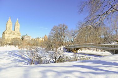 Central park ve kar, manhattan new york yay Köprüsü