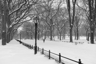 kar, manhattan new york Central Park'ta
