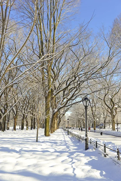 Central park i snön, manhattan new york — Stockfoto