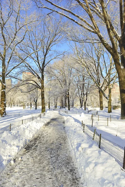 Central park in de sneeuw, manhattan new york — Stockfoto