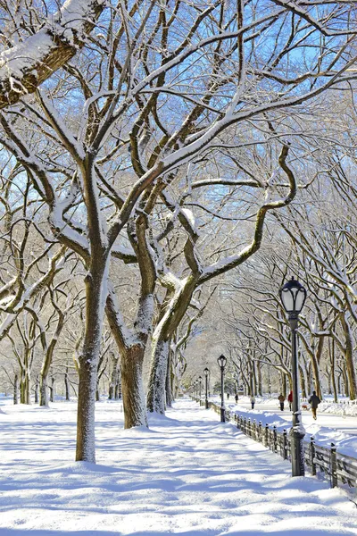 Центральный парк в снегу, Манхэттен, Нью-Йорк — стоковое фото