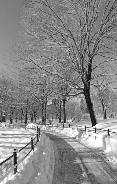 Central Park im Schnee, Manhattan New York — Stockfoto