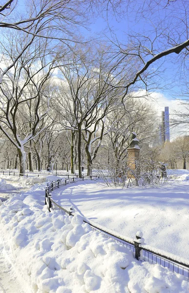 Central Park im Schnee, Manhattan New York — Stockfoto