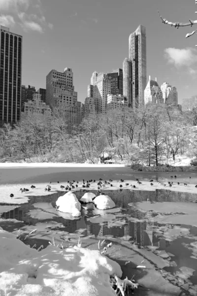 Śnieg w central park oraz panoramę Manhattanu, Nowy Jork — Zdjęcie stockowe