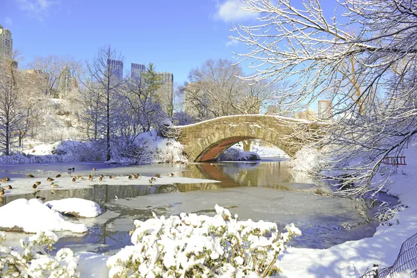 Snö i central park och manhattan skyline, new york city — Stockfoto