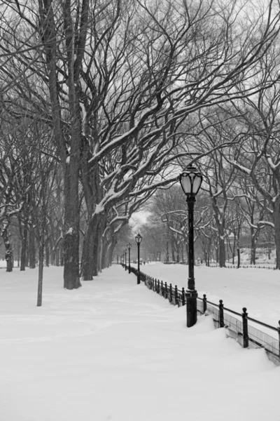 Центральный парк в снегу, Манхэттен, Нью-Йорк — стоковое фото