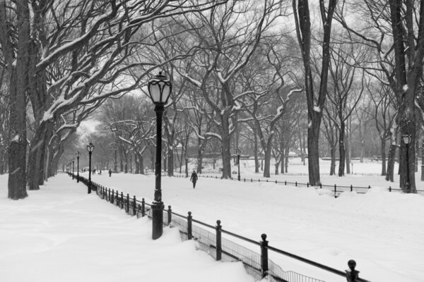 Central Park in the Snow, Manhattan New York