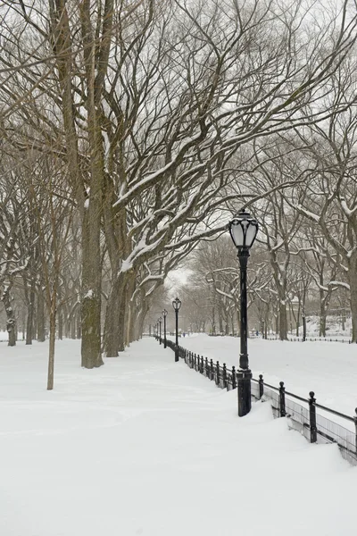 Central park in de sneeuw, manhattan new york — Stockfoto