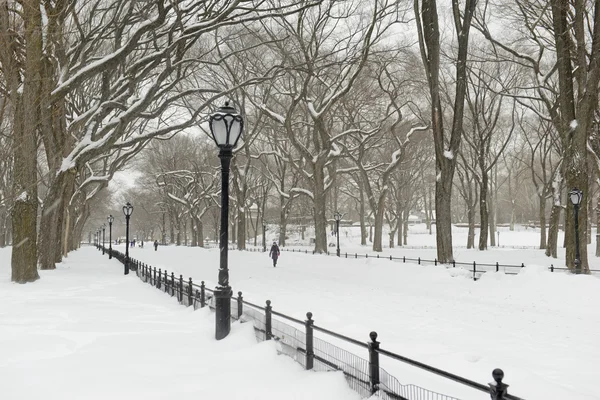 Central park na sněhu, manhattan new york — Stock fotografie