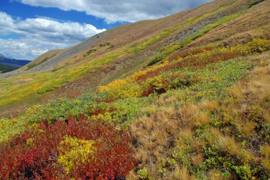 rocky Dağları'nda sonbahar renkleri
