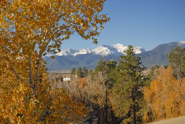 Fall gebladerte in de rocky mountains colorado — Stockfoto