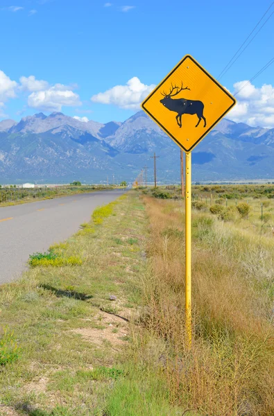 Elk jeleny přechod znamení na cestě — Stock fotografie