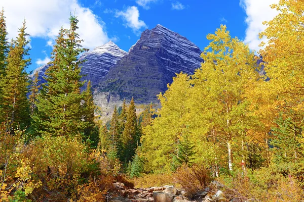 Fall gebladerte in de rocky mountains colorado — Stockfoto