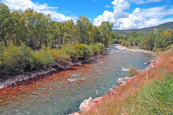 Trout Fishing Stream — Stock Photo, Image