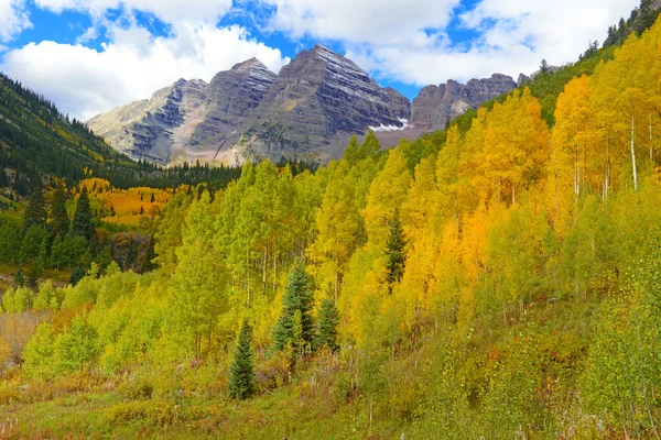 Golden aspen a fall listí v rocky mountains — Stock fotografie