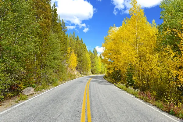 Golden aspen a fall listí v rocky mountains — Stock fotografie